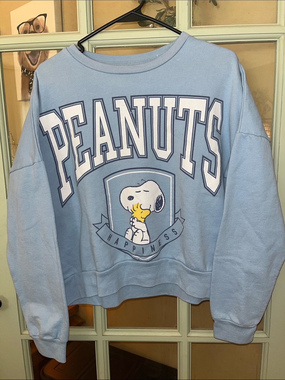 Peanuts Light Blue Crewneck Sweatshirt with Snoopy Graphic